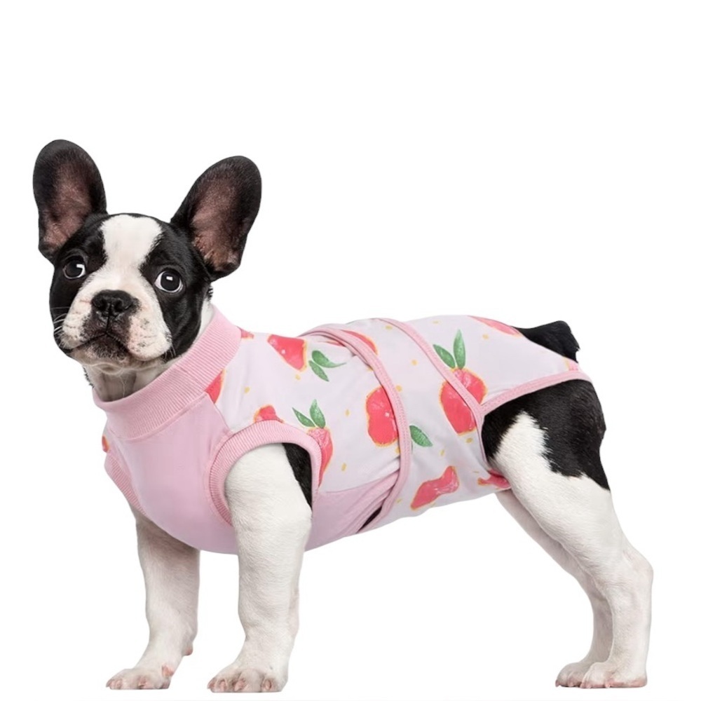 Cat/Dog recovery suits - 3 - Donuts, sports and strawberries - Size Medium.  NEW
